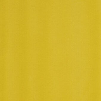 lario-40